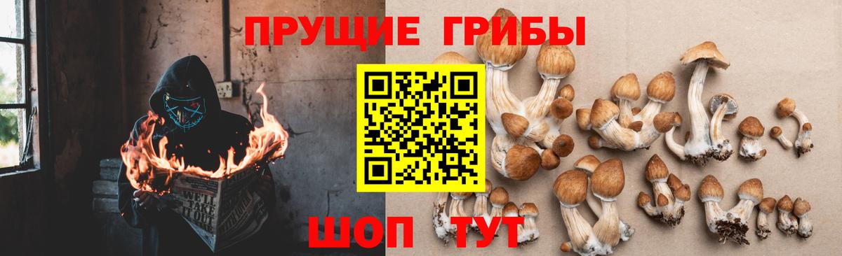 Химки  Псилоцибиновые грибы ЛСД  Вход с VPN 
