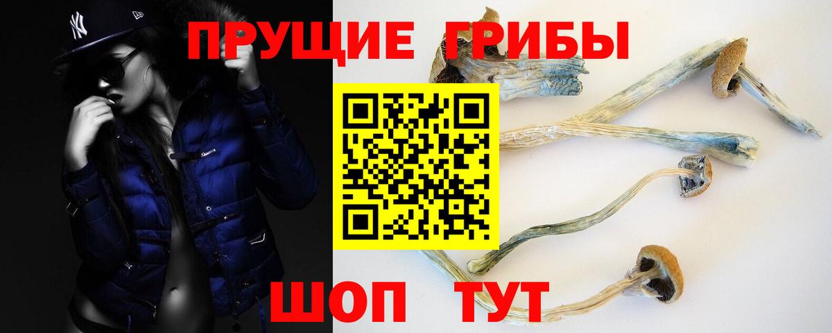 Галлюциногенные грибы Psilocybine cubensis Химки